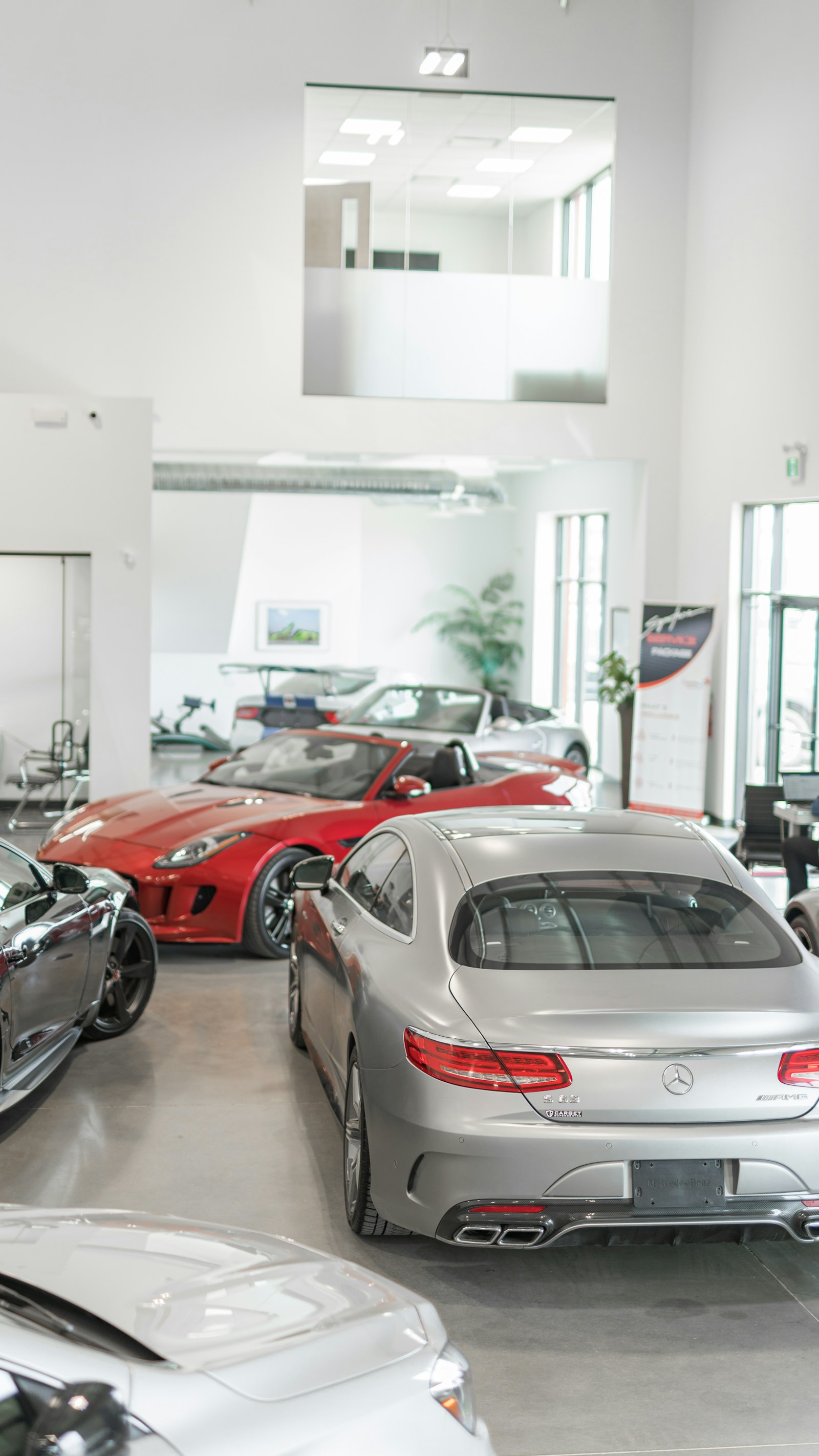Automotive dealership and inventory business